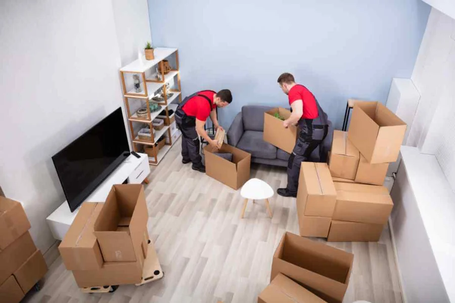 What Online Customer Opinions Tell Us About NoBroker Packers and Movers in Chennai? Packers Movers